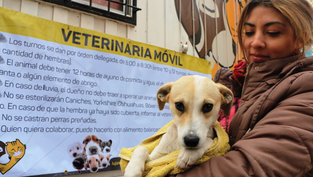 imagen Este es el cronograma de agosto de la Veterinaria Móvil de Luján