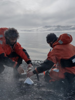 Volcanes activos en la Antártida: equipo científico argentino estudia su comportamiento 