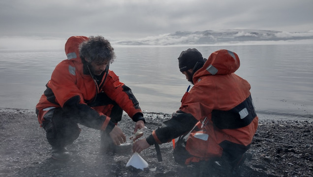 imagen Volcanes activos en la Antártida: equipo científico argentino estudia su comportamiento 