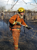 El zonda dejó más de un centenar de incendios en Mendoza