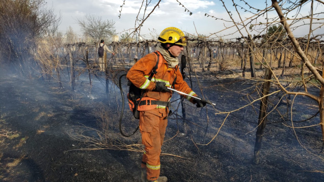 imagen El zonda dejó más de un centenar de incendios en Mendoza