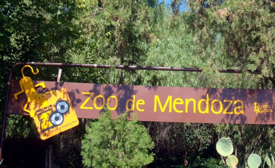 Piden la liberación de una chimpancé del Zoo de Mendoza